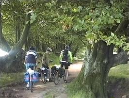 The interesting ridge track along the top of the Quantock Hills